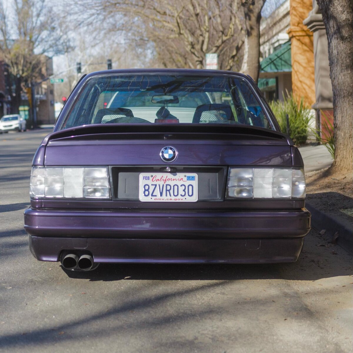 rare36parts_1711047462_3328829846397581306_40769827256